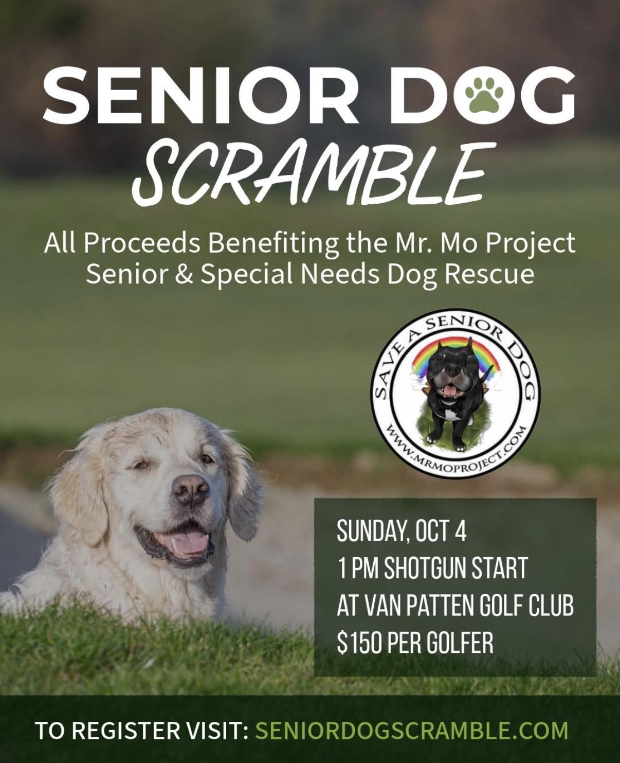 Senior Dog Scramble